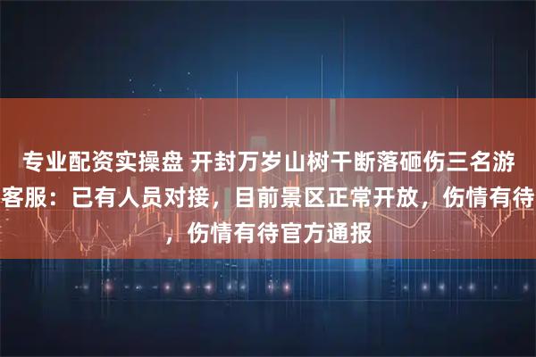 专业配资实操盘 开封万岁山树干断落砸伤三名游客，景区客服：已有人员对接，目前景区正常开放，伤情有待官方通报