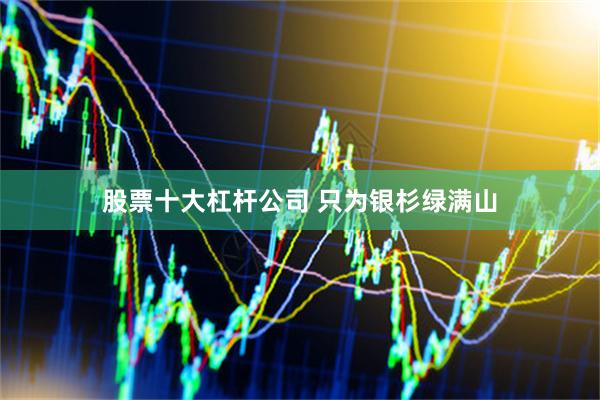 股票十大杠杆公司 只为银杉绿满山